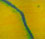 acrylmalerei, issabella seitz